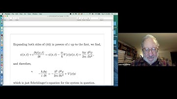Vassiliev Invariants and Witten’s Functional Integral
