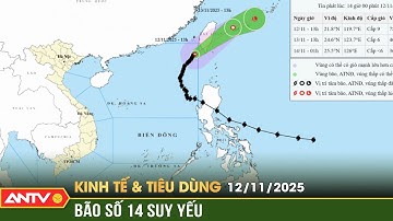 Bản tin kinh tế và tiêu dùng ngày 12/11: Bão số 14 suy yếu dần, sắp ra khỏi Biển Đông | ANTV