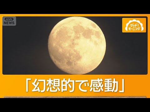 Giant Moon Floating in the Sea of Night Clouds: Tokyo Tower Dims Its "Top Half" for the Mid-Autum...