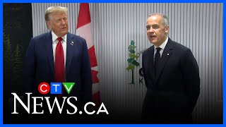 Real Negotiation Between U.s. And Canada Will Be About Cusma, Not Tariffs Former Ambador