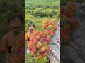 Survival Skills SMART Idea And USEFUL With Sin Survival Skills SMART Idea And USEFUL With Sin