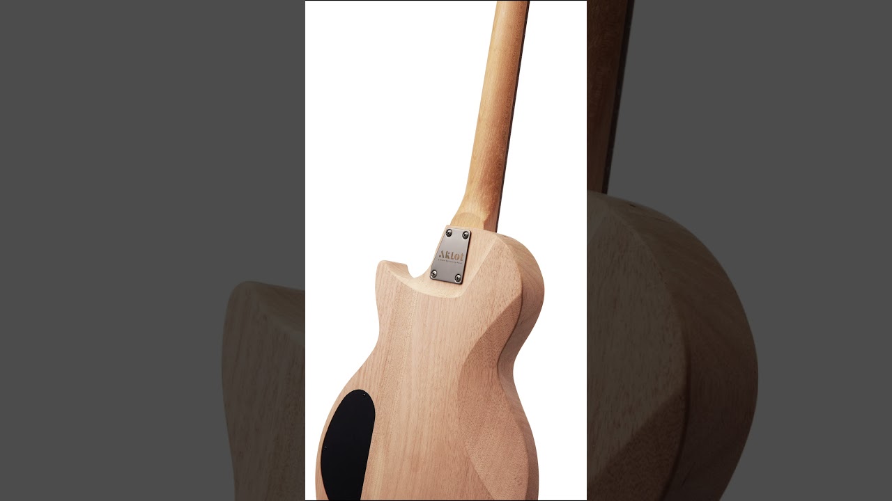 🎸 Ever dreamed of building your own guitar?