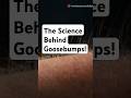 The Science Behind Goosebumps Ytshorts Shorts Viralvideo Trending Youtubeshorts Youtube 