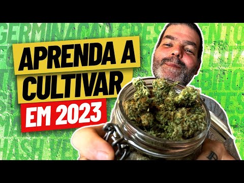 Vídeo: Tudo Para Saber Antes De Ir Para Um Estado Com Maconha Recreativa