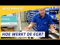 Een auto met een lekkende EGR (Robert is weer in Nederland!) | Wegenwacht vlog