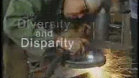 MDG Movie: A Future Within Reach