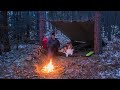 Early Winter Camping with My Dog