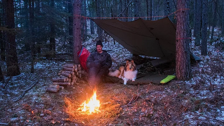 Early Winter Camping with My Dog