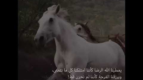 والعاديات ضبحا تلاوة خاشعة بصوت القارئ عبد الرحمن مسعد حالات واتس اب