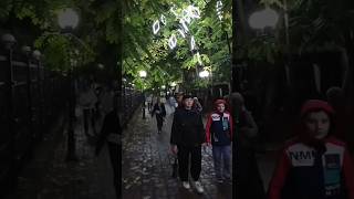 знаменитая Ореховая аллея Белокурихи #белокуриха #nature #walking