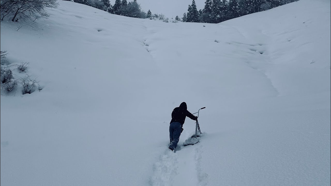 torinity snowscoot new board set double arrow HD