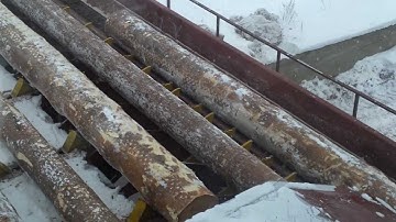 Log sorting line Priangarskiy LPK