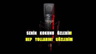 Emrah - Götür Beni Gittiğin Yere / Karaoke / Md Altyapı / Cover / Lyrics / HQ Resimi