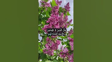 إن هذا القرآن يهدي للتي هي أقوم | بصوت أحمد العجمي تلاوة تهز القلوب
