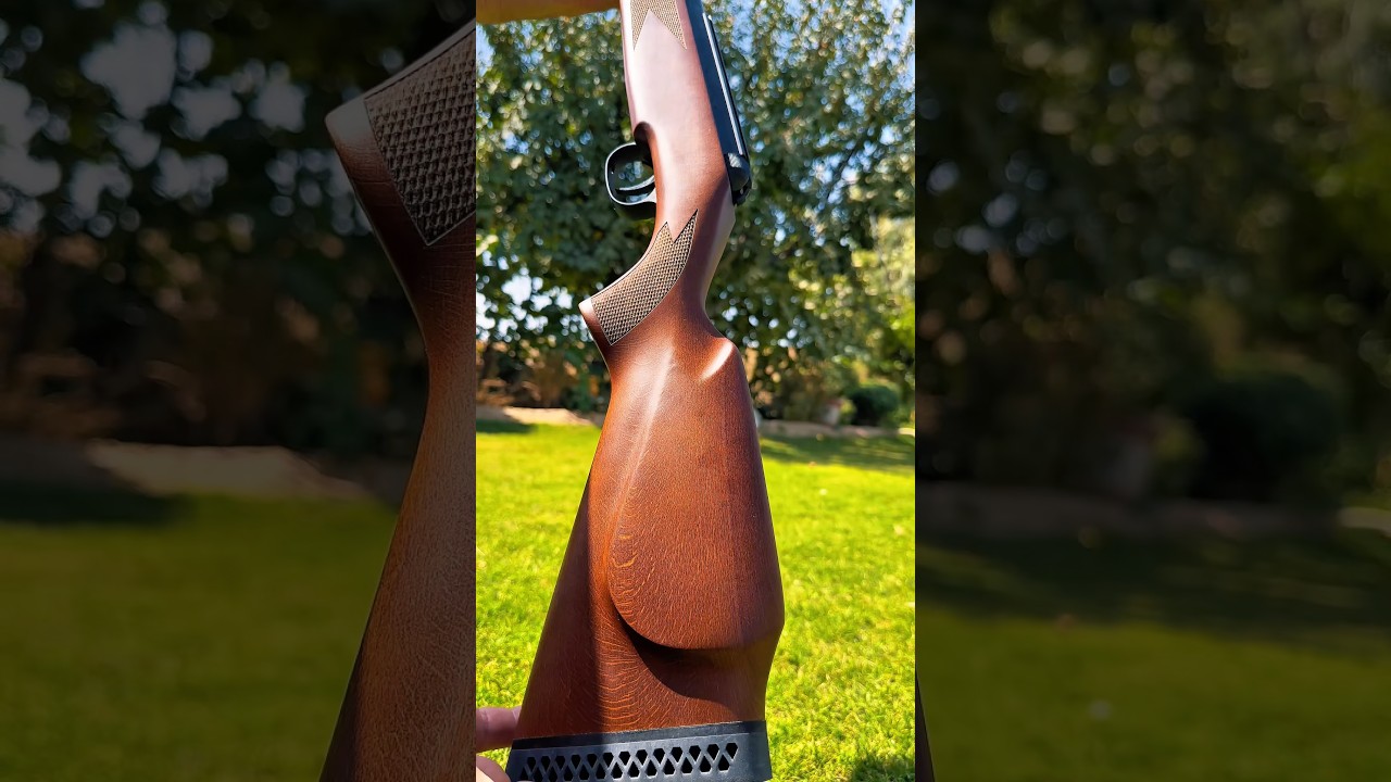 Most Powerful Springer? Diana 350 Magnum Full Review ⚡