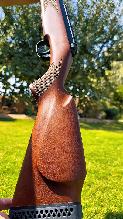 Most Powerful Springer? Diana 350 Magnum Full Review ⚡#airgun #airgunning