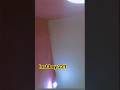 jaane bo kaisi hogi re  #viral #youtubeshorts #trending #viralvideo #shorts