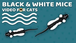 Cat Games - Black And White Mice! Mouse Video For Cats To Watch.