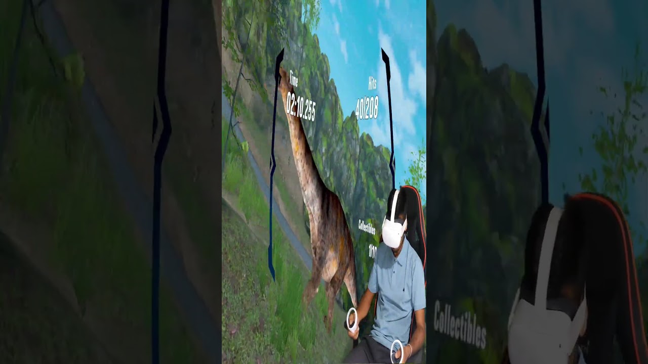 Roller coster in vr.