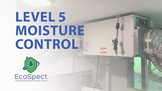 EcoSpect, Level 5 - Moisture Control, Basement Dehumidification