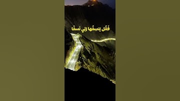 تلاوة بصوت الشيخ محمد أيوب رحمه الله #المصحف #اكسبلور #لايك #راحة_نفسية #ترند