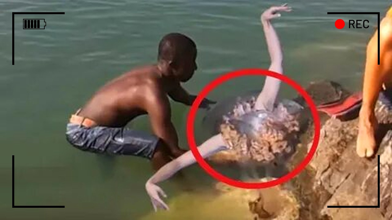مخلوقات لا يفترض أن تكون على الأرض… الكاميرا كشفت المستحيل!