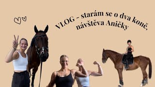 VLOG - starám se o dva koně, návštěva Aničky