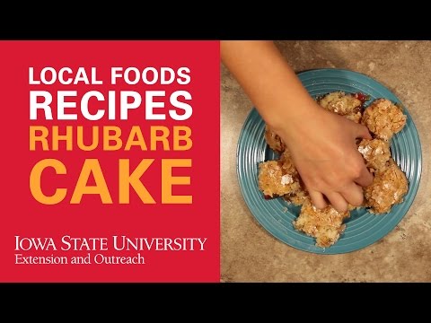 How to Make Old Fashioned Rhubarb Pudding Cake From Local Foods