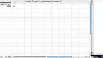 RANDBETWEEN: One Minute Excel Tutorial