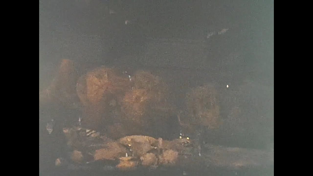 Murray & Marion's Wedding