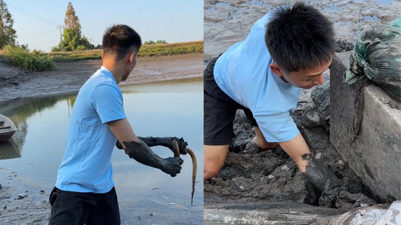 剛剛我們路過這邊的時候啊，發現這裏幹了壹塊龍蝦塘#农村生活 #软饭硬吃 #fishing #搞笑 #snake