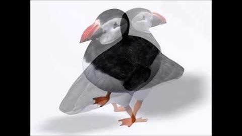 Bird 3D Model | Animals 3D Models | max, 3ds, c4d, obj, lwo