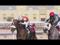 RM 20 Al Rayyan Race 2 - Al Gharafa Cup