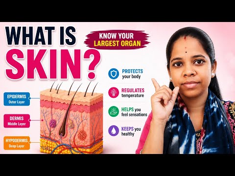 What is Skin? | Skin Layers Explained #beautytips #skincare #beautycare #beautyfacts #skincaretips 