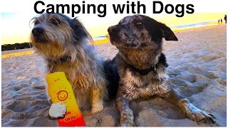 CAMP TRAVEL DOG VACATION WITH DOGS DIY by Cooking For Dogs