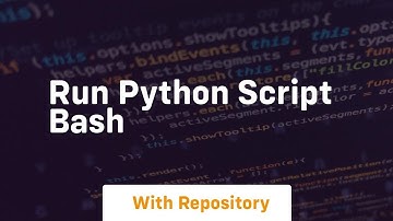run python script bash