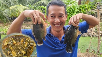 Ao chòi con Cá Rô hết hồn 3 con 1,1 ký. CÁ RÔ KHO TIÊU, RAU LUỘC, MẮM TÉP  - Bin Đen Family