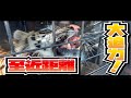 【大迫力】至近距離での体験がすごすぎる！