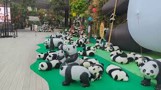 Pandamonia - 中国 - 泰国 - 曼谷 - 素坤逸路 50 周年外交关系