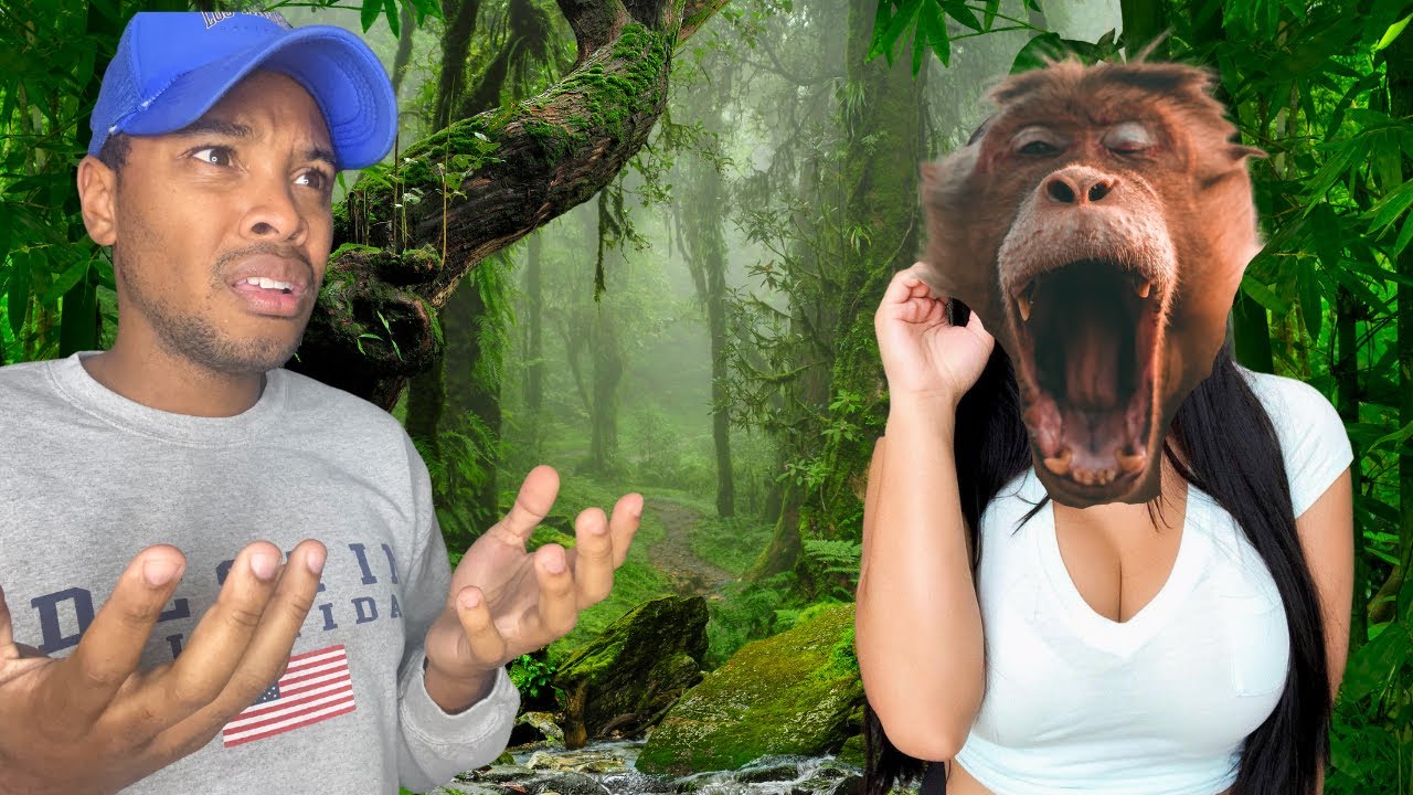 Finding A Monkey Wife... YouTube