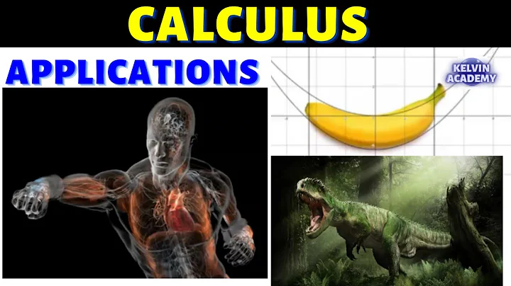 REAL LIFE APPLICATIONS OF CALCULUS