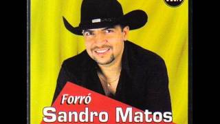 NÃO ME DEIXE - SANDRO MATOS´´ARTISTAS QUE GRAVARAM PEDRO BHORGES´´49´´