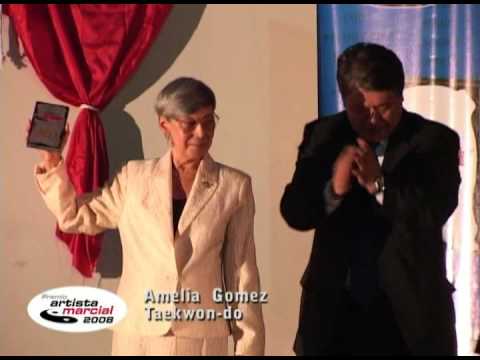 Premio Artista Marcial 2008 - Amelia Gomez - Taekw...