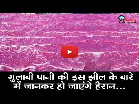 वीडियो: गुलाबी रंग की झील कहाँ है