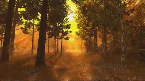 [3PlaneSoft] Autumn Forest - 1 Hour Session