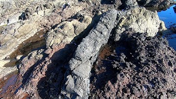 Real Muscle Beach #1