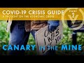 Theofilos Chaldezos - Canary in the Mine: A Thought on the Economic Crisis - Theofilos Chaldezos - Canary in the Mine: A Thought on the Economic Crisis