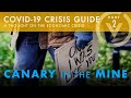 Theofilos Chaldezos - Canary in the Mine: A Thought on the Economic Crisis