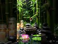 #relax #relaxing #calmmusic #relaxingmusic #deepsleep #meditationmusic