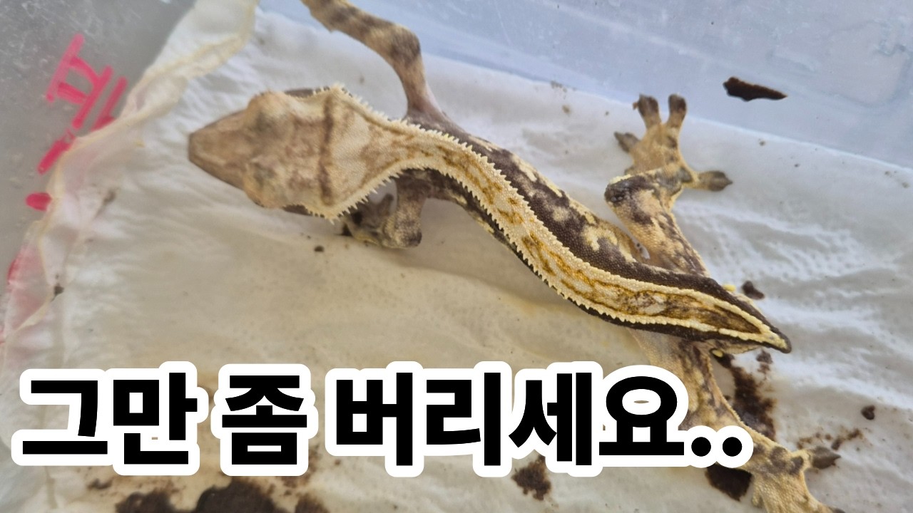 То, что что-то легко вырастить, не означает, что это легко выбросить.